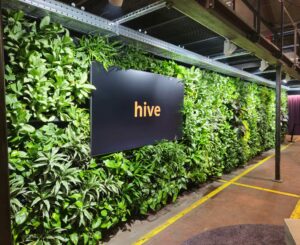 Hive Göppingen Wandbegrünung 2025