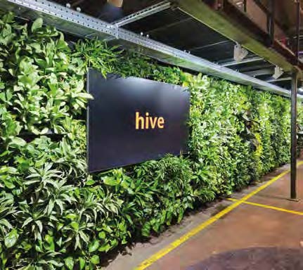 Wandbegrünung im Innovations-Hub hive
