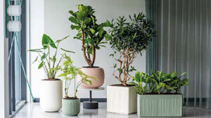 Raum und Design - Bild: Pottery Pots