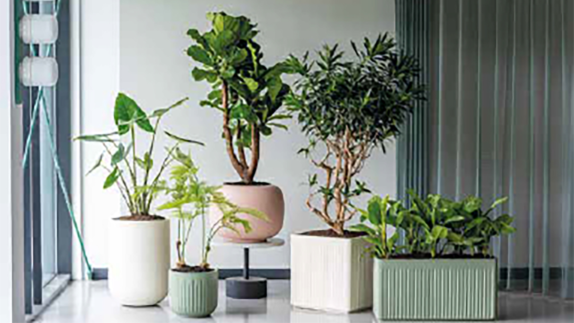 Raum und Design - Bild: Pottery Pots