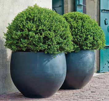 Foto: Fa. Pottery Pots