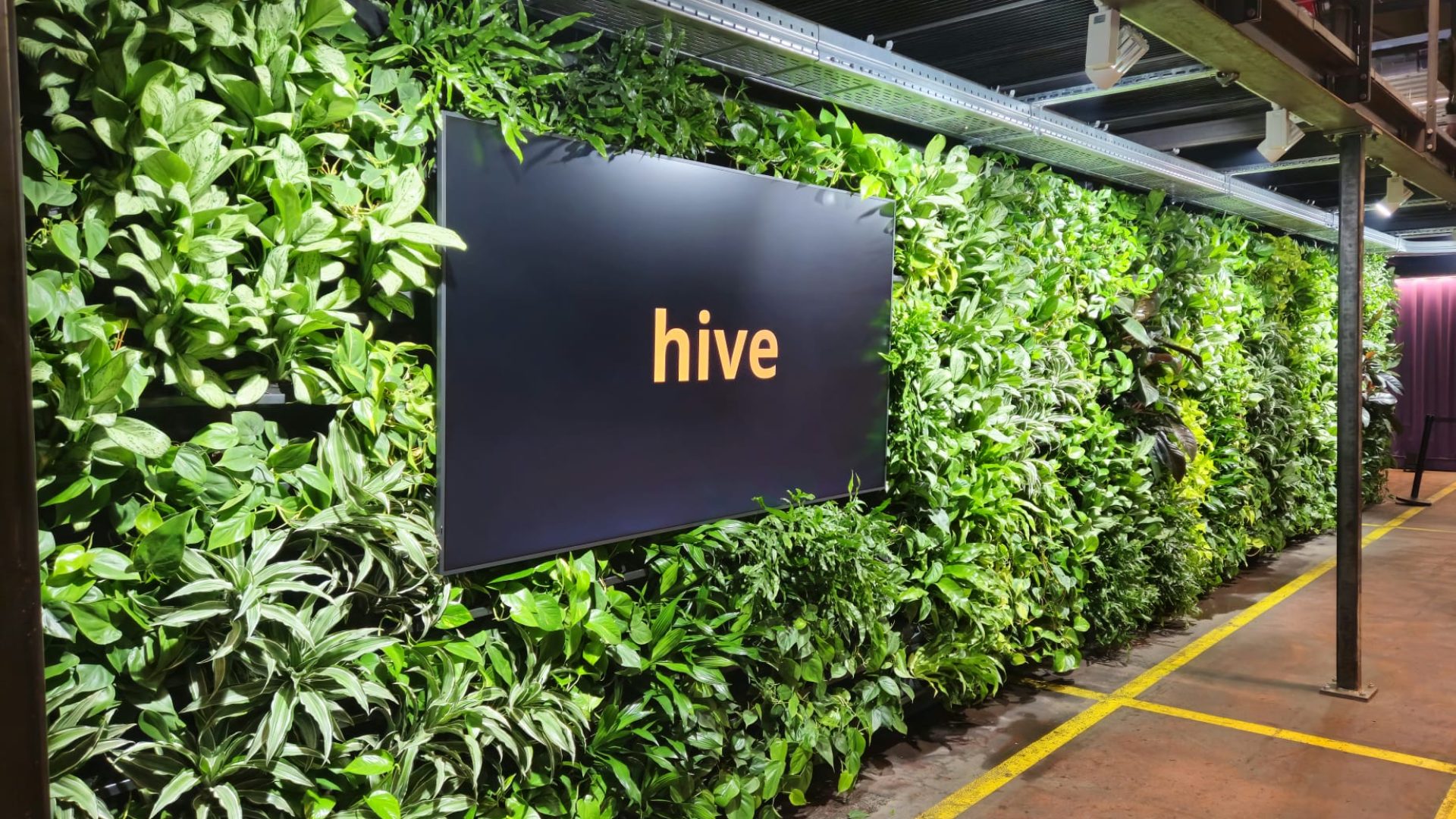 Hive Göppingen Wandbegrünung 2025