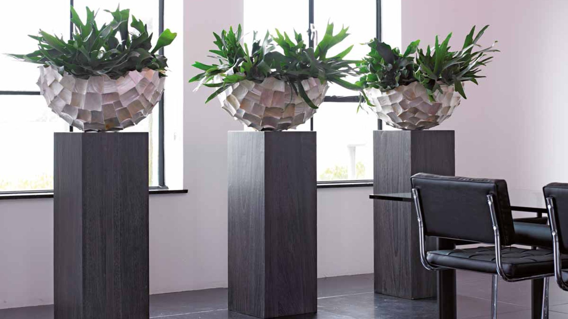 Hydrogärtnerei Höfer – Inspirationen Frühjahr 2025